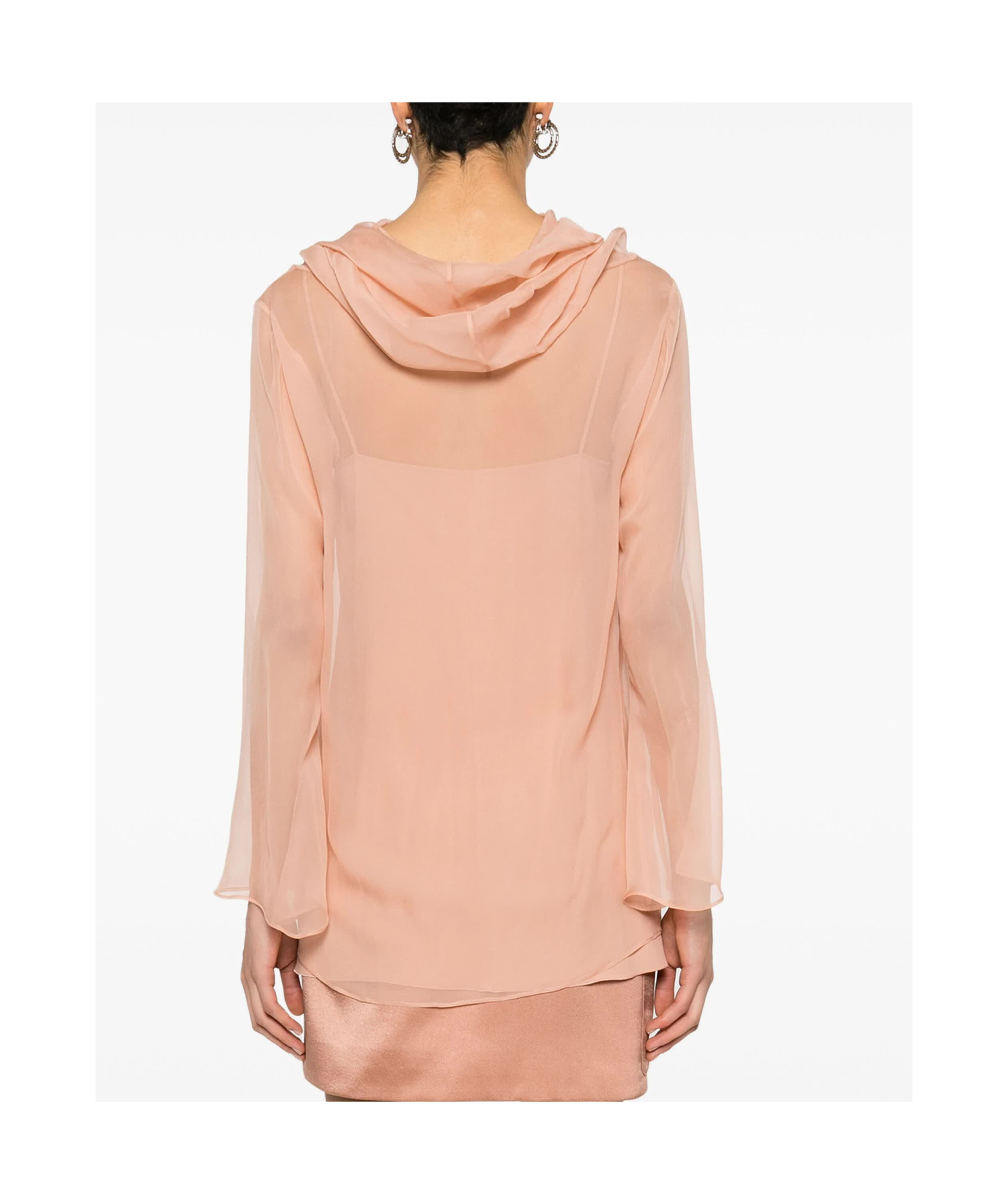Alberta Ferretti Cowl-collar Semi-sheer Blouse In Nude