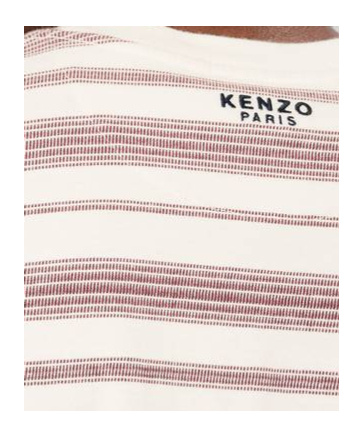 Kenzo 'boke Flower' Striped Embroidered T-shirt In Cotton In Brown