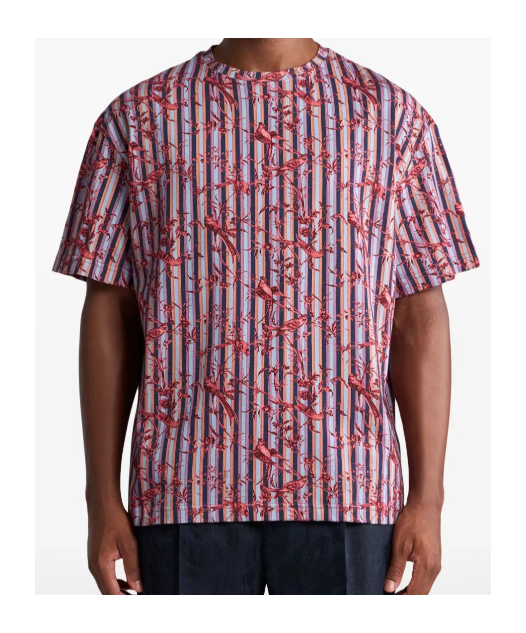 Etro Cotton T-shirt With Bird Pattern In Multi