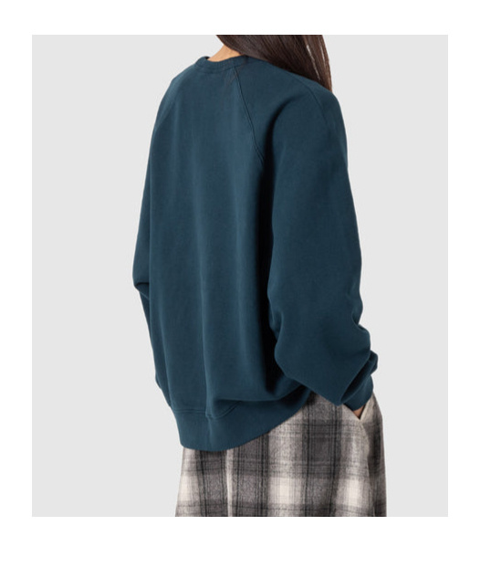 Carhartt Signature Sweatshirt In Black