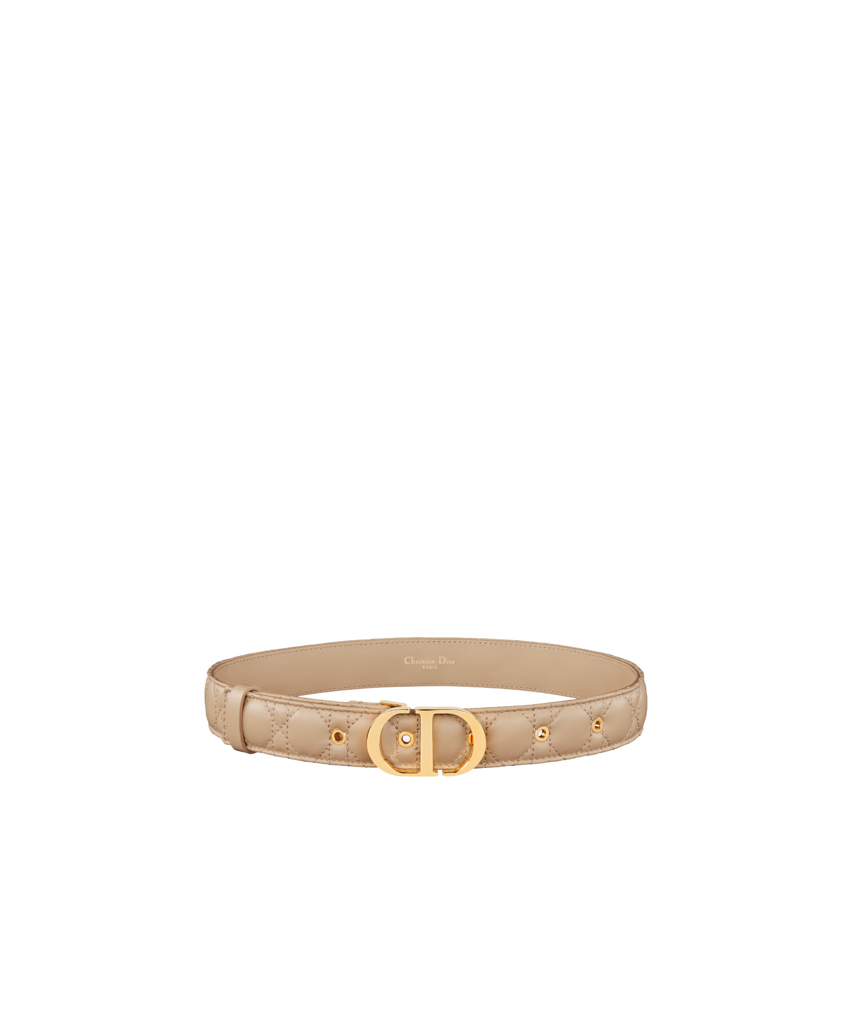 Dior 30 Montaigne Belt In Nude