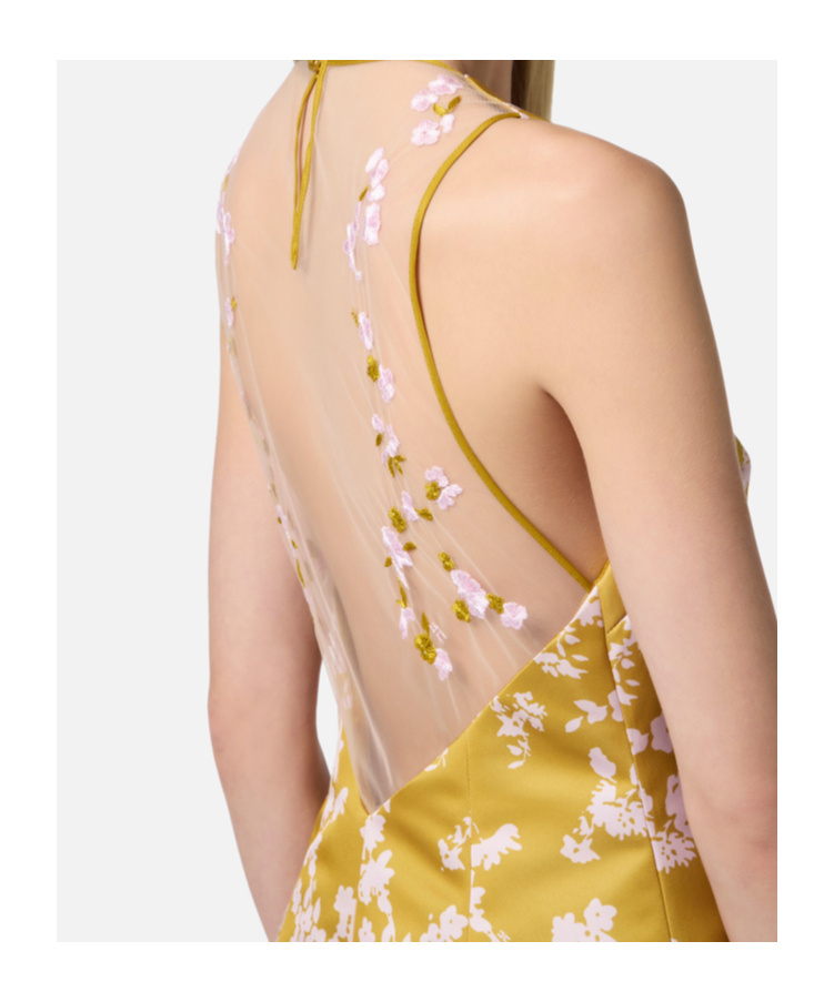 Elisabetta Franchi Dress In Yellow