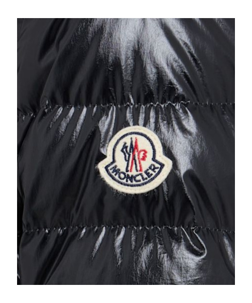 Moncler Down Jacket In Black