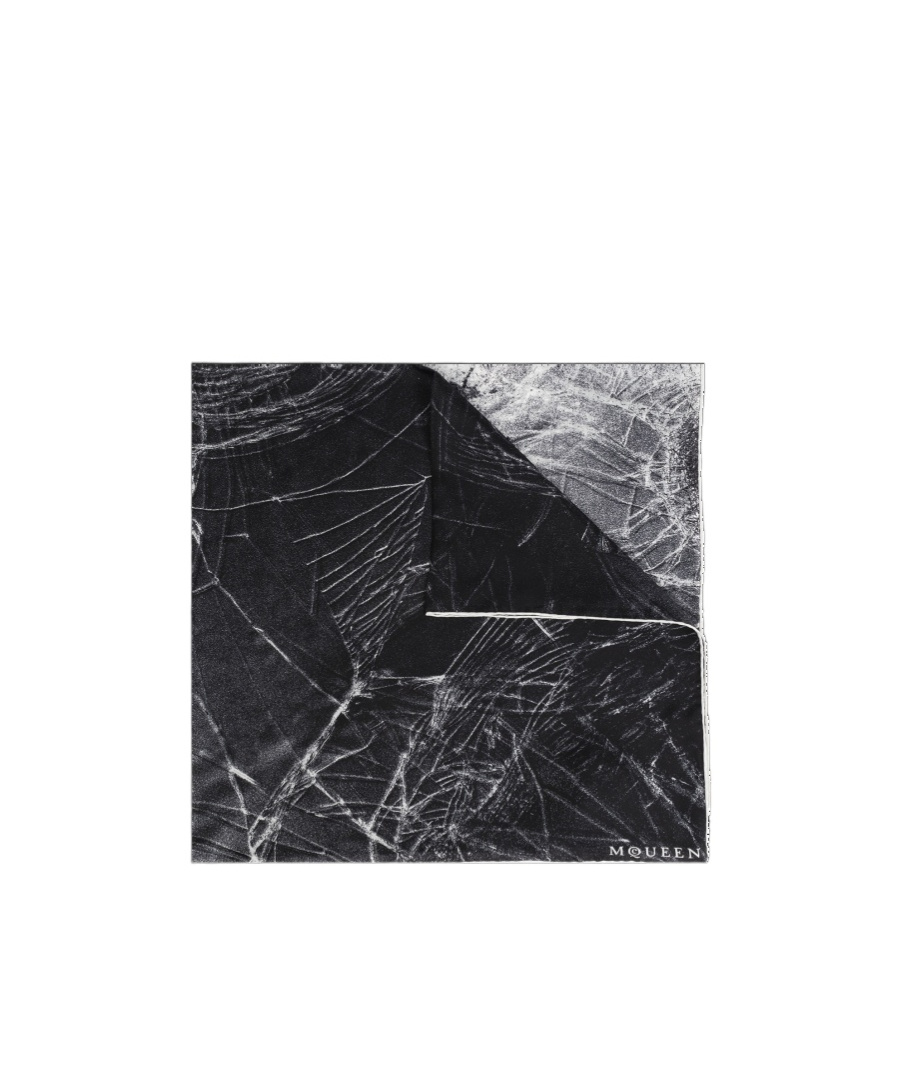 Alexander Mcqueen Printed Silk Scarf In Black