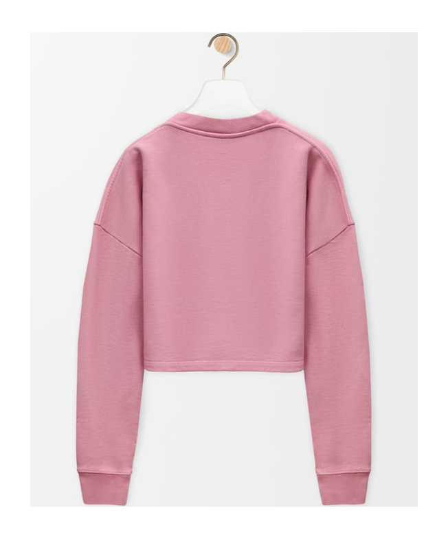 Loewe Round-collar Long-sleeve Hoodie In Pink