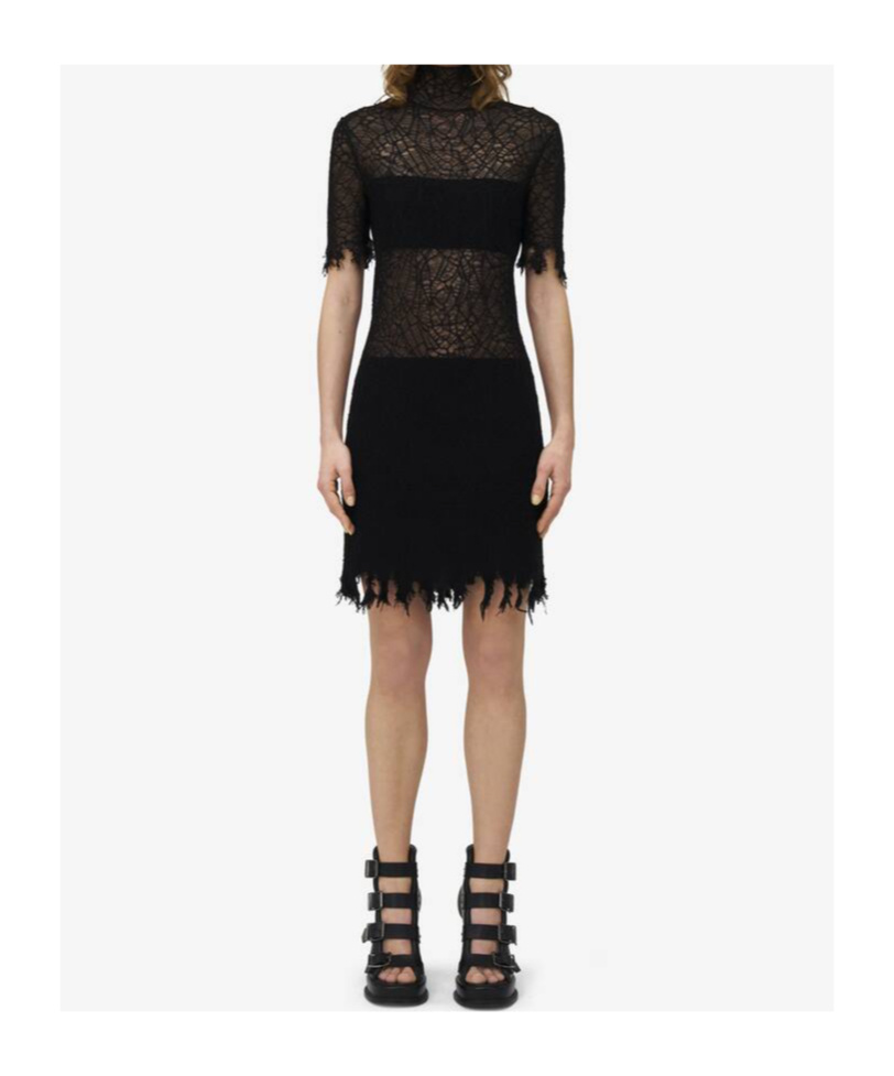 Alexander Mcqueen Lace Dress With Cotton Inserts And Organic Silk In Black