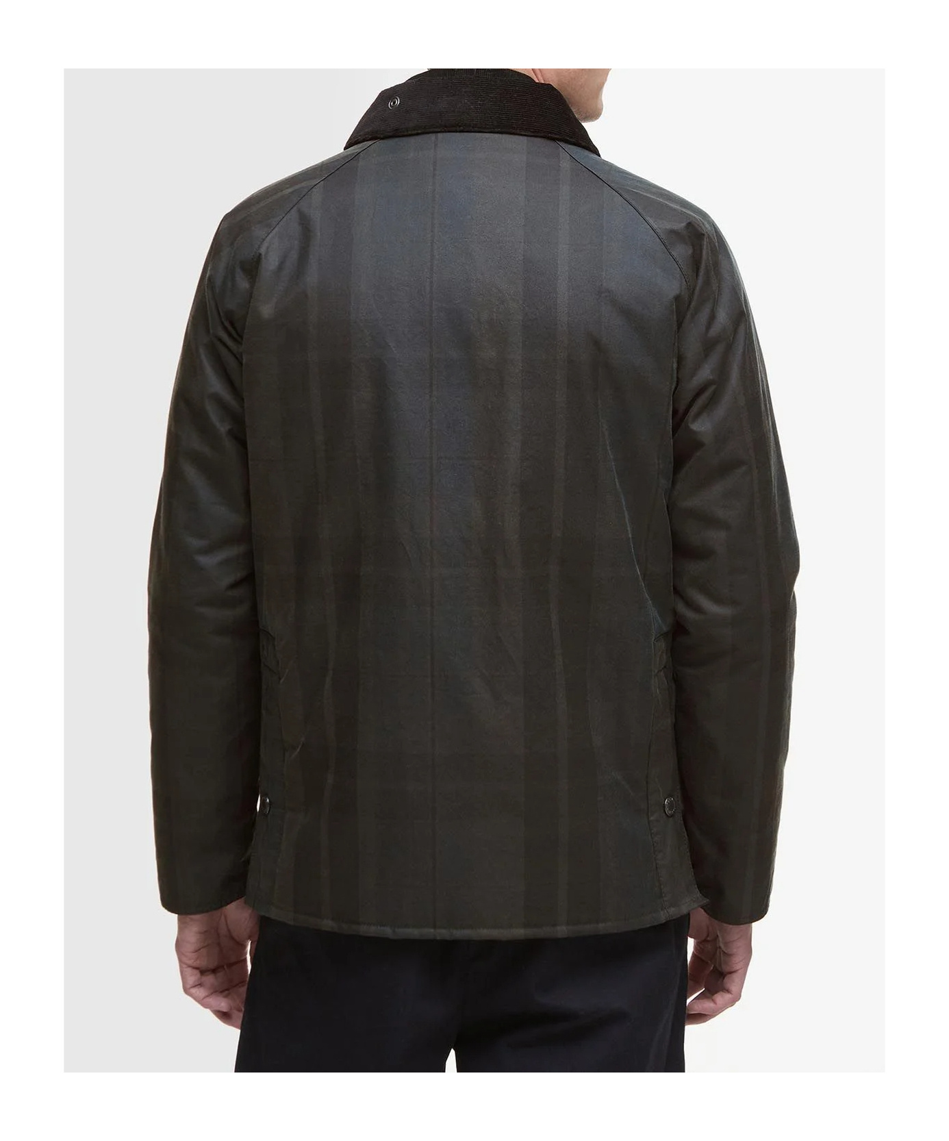 BARBOUR ASHBY JACKET