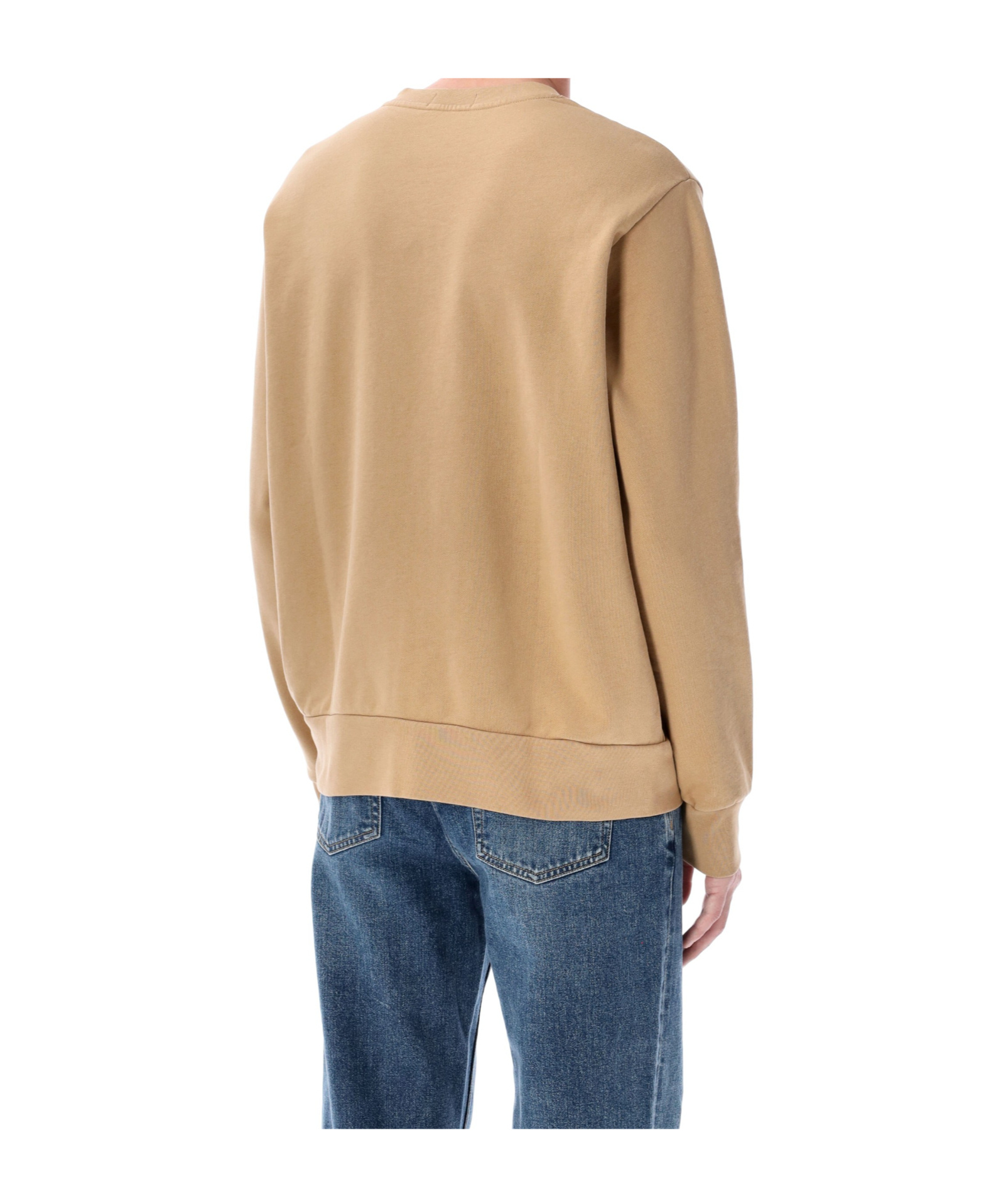 Polo Ralph Lauren Crew Neck Sweatshirt In Brown