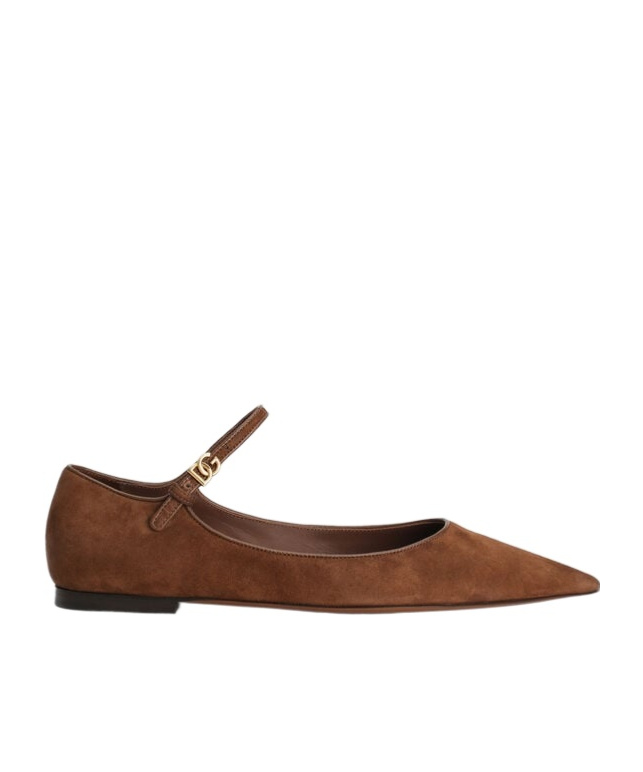 Dolce & Gabbana Pointed-toe Ballet Flats In Brown