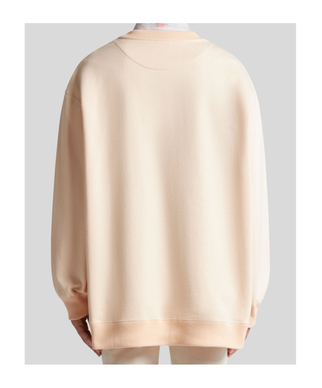 Etro Sweatshirt Mit Beflocktem Druck In Nude