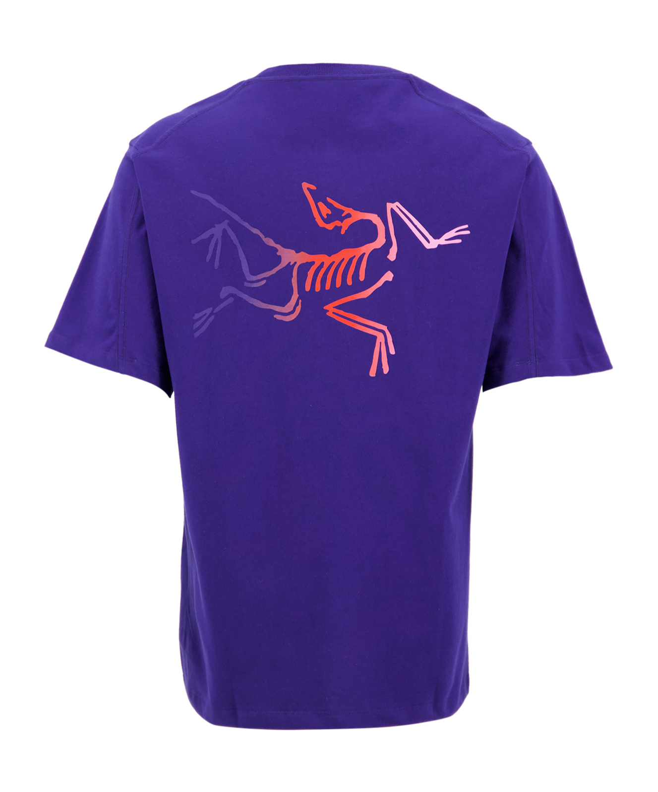 Arc'teryx Kragg T-shirt In Blue