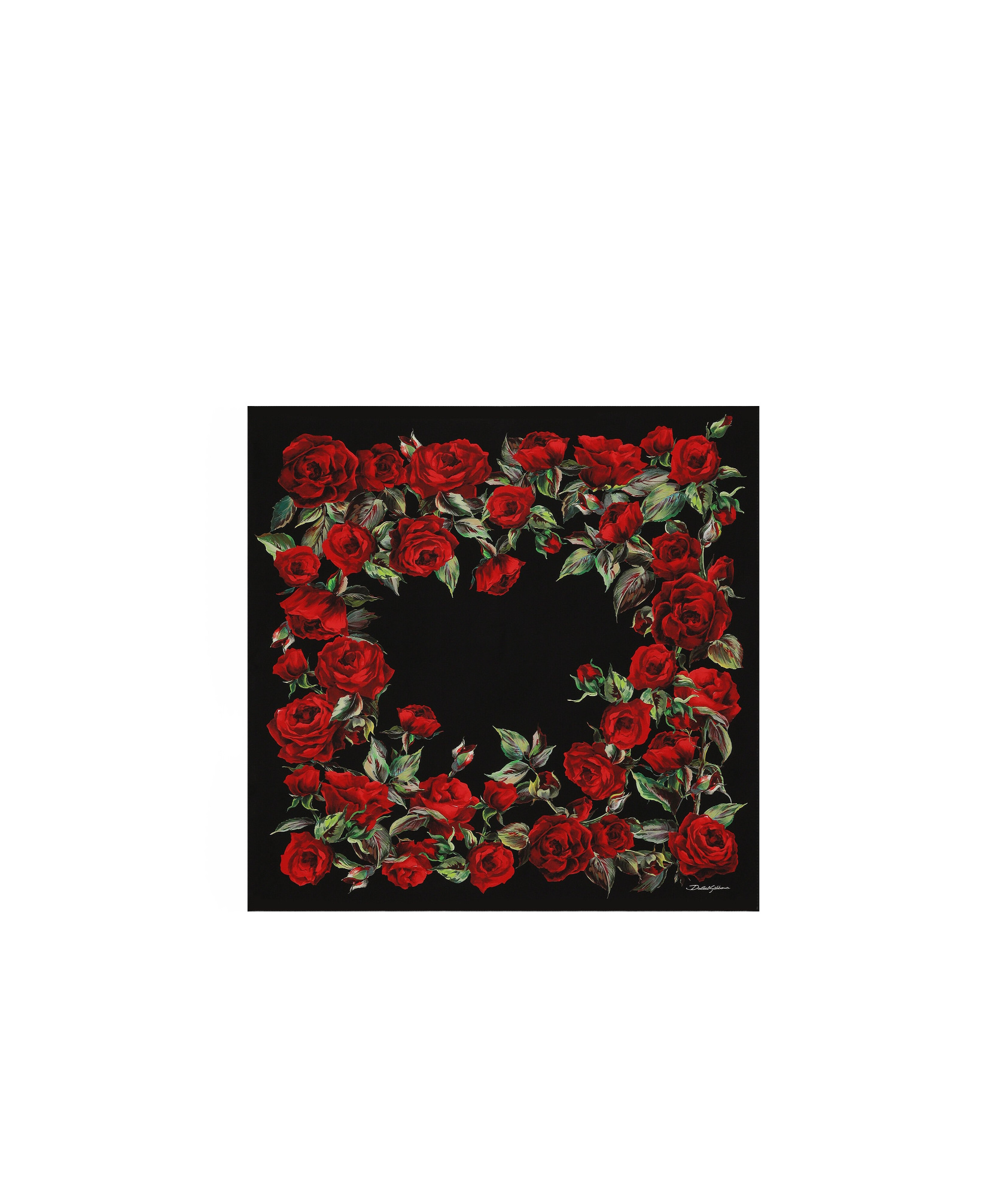 Dolce & Gabbana Schal Mit Rosen-print In Black