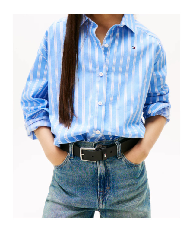 Tommy Hilfiger Striped Long-sleeve Shirt In Blue