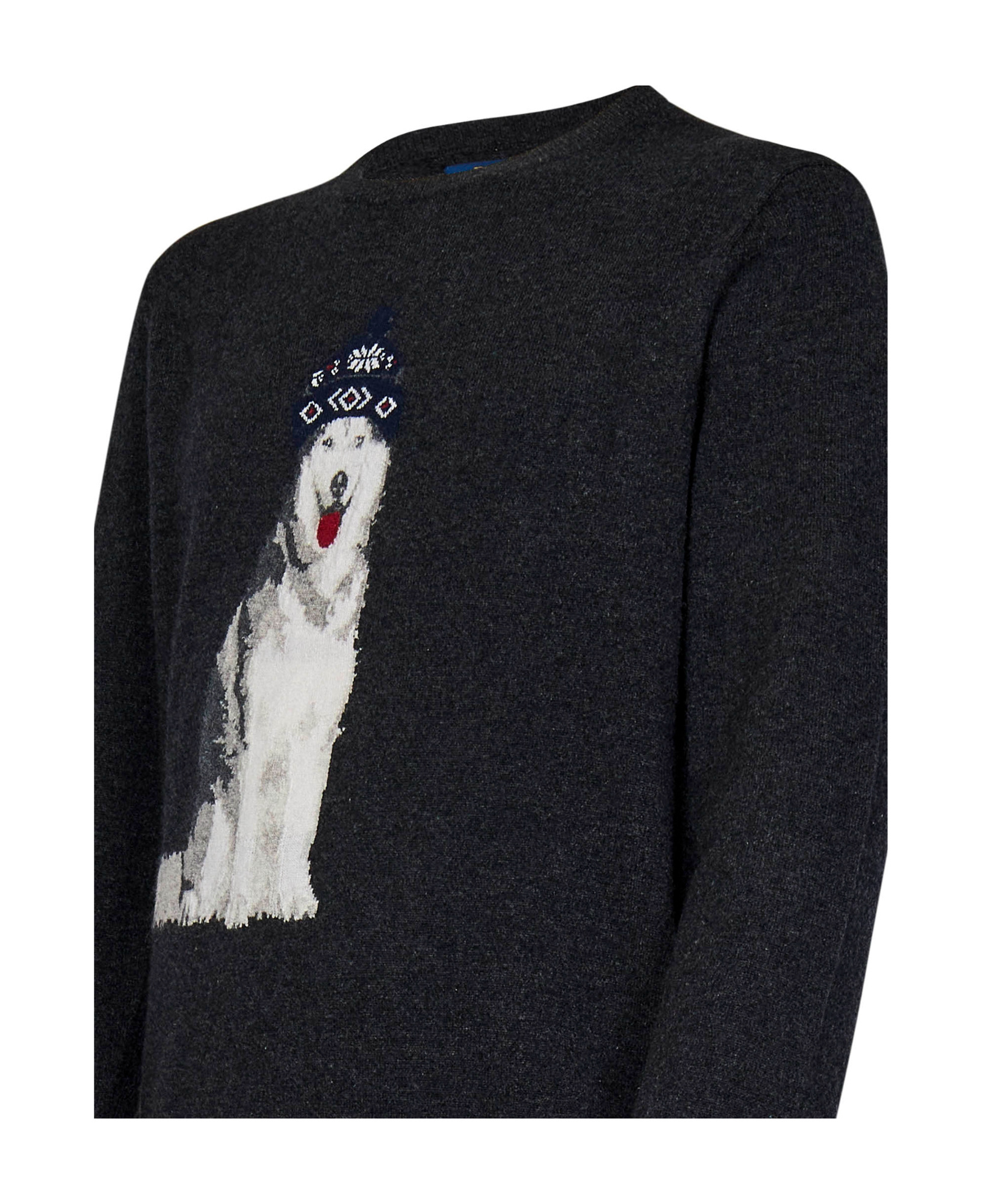 Shop Polo Ralph Lauren Dog-intarsia Sweater In Black