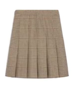 Celine Pleated Skirtin Houndstooth Wool In Nude