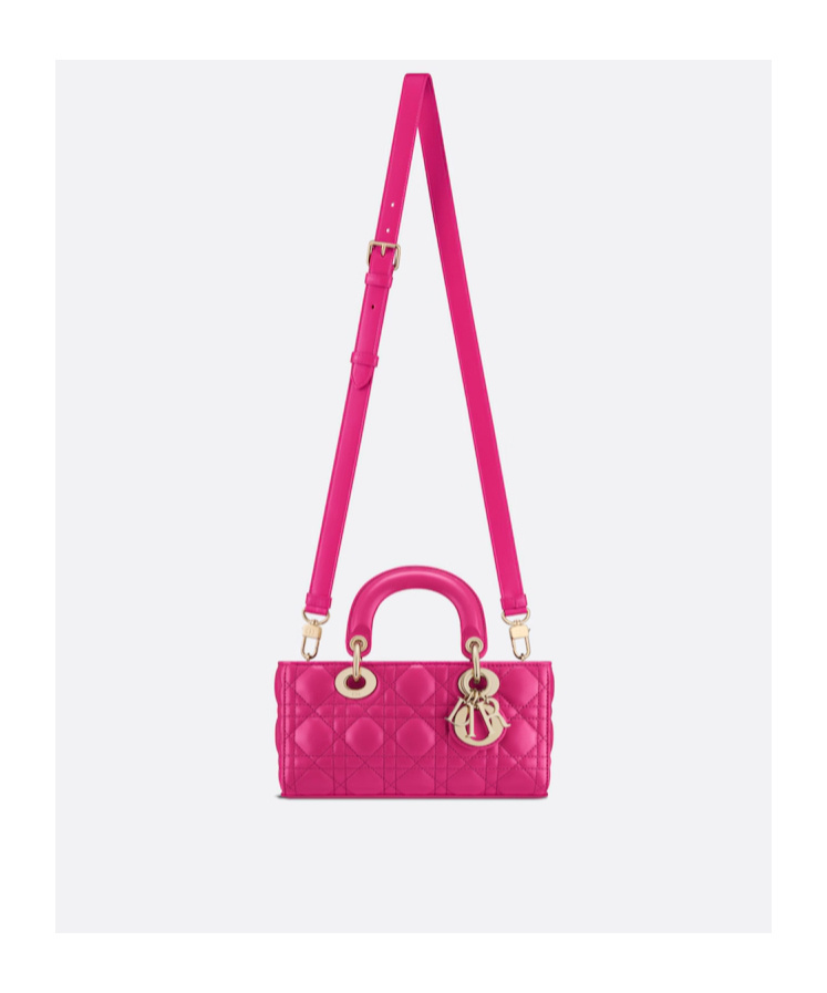 Dior Lady D-joy Small Leather Shoulder Bag In Pink