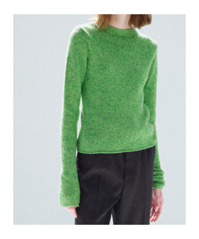 Auralee Crew-neck Sweater In Green