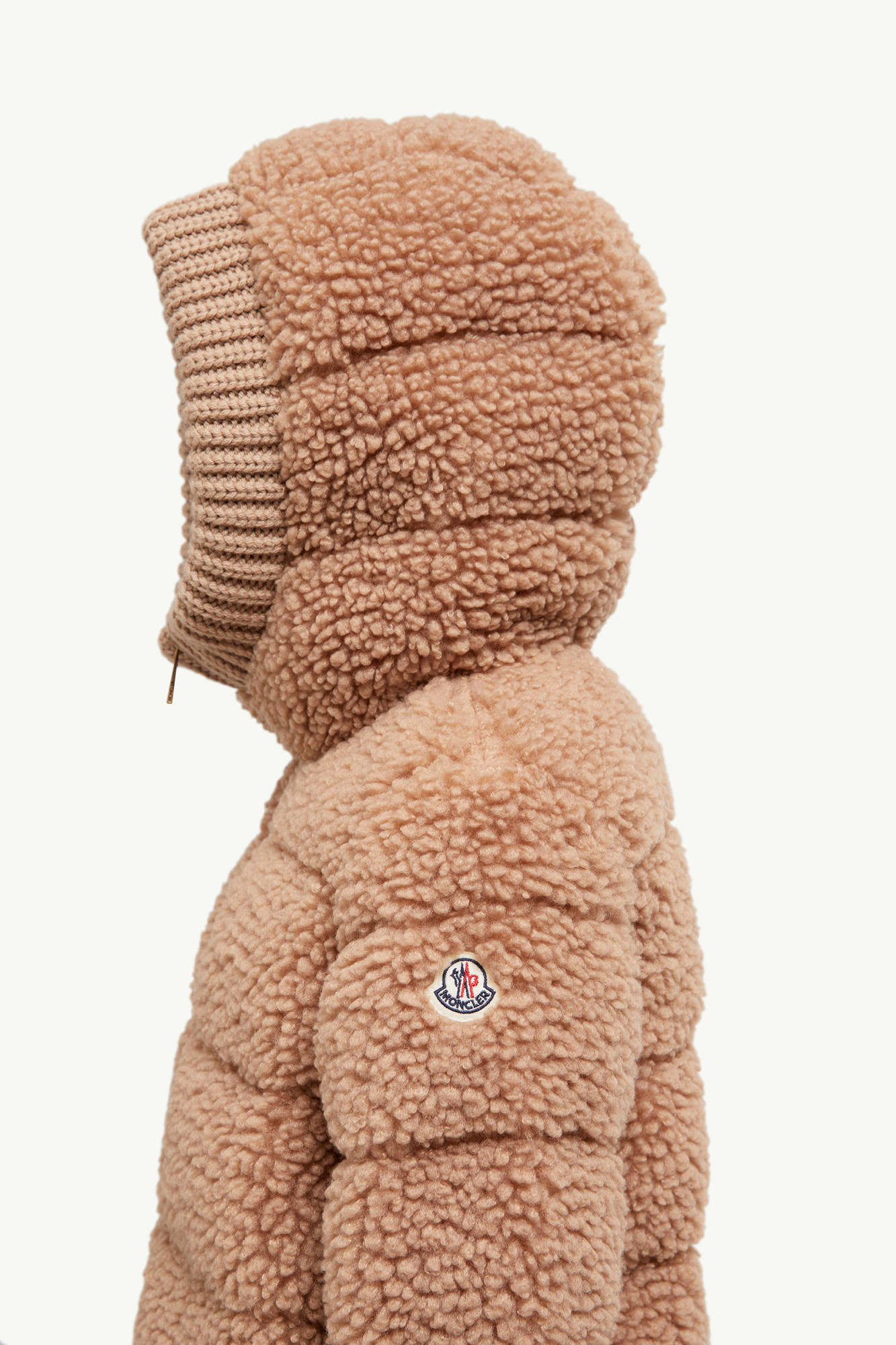 Moncler Adalbertas Teddy Hooded Down Jacket In Black