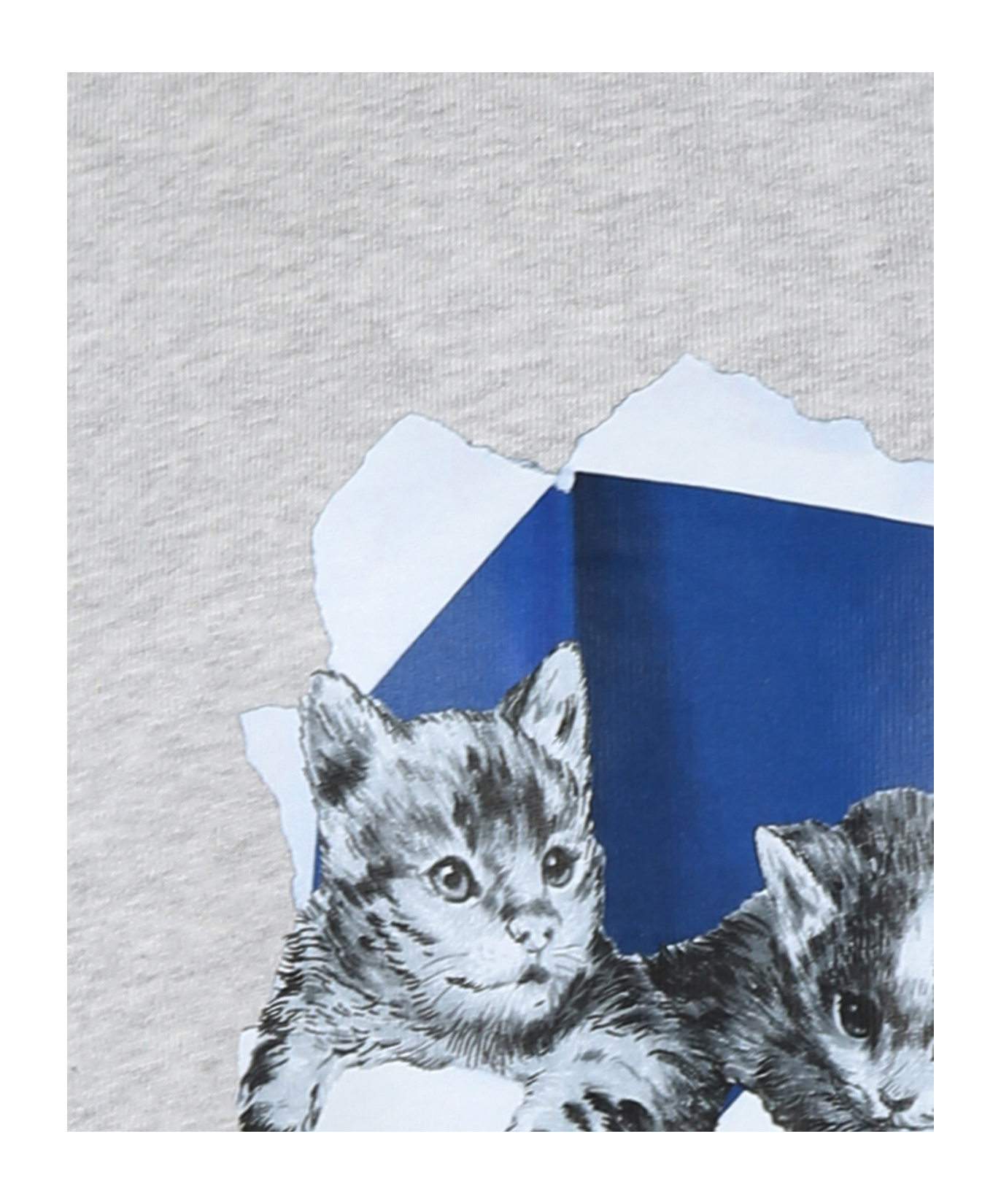 Msgm Logo-print Sweatshirt In White