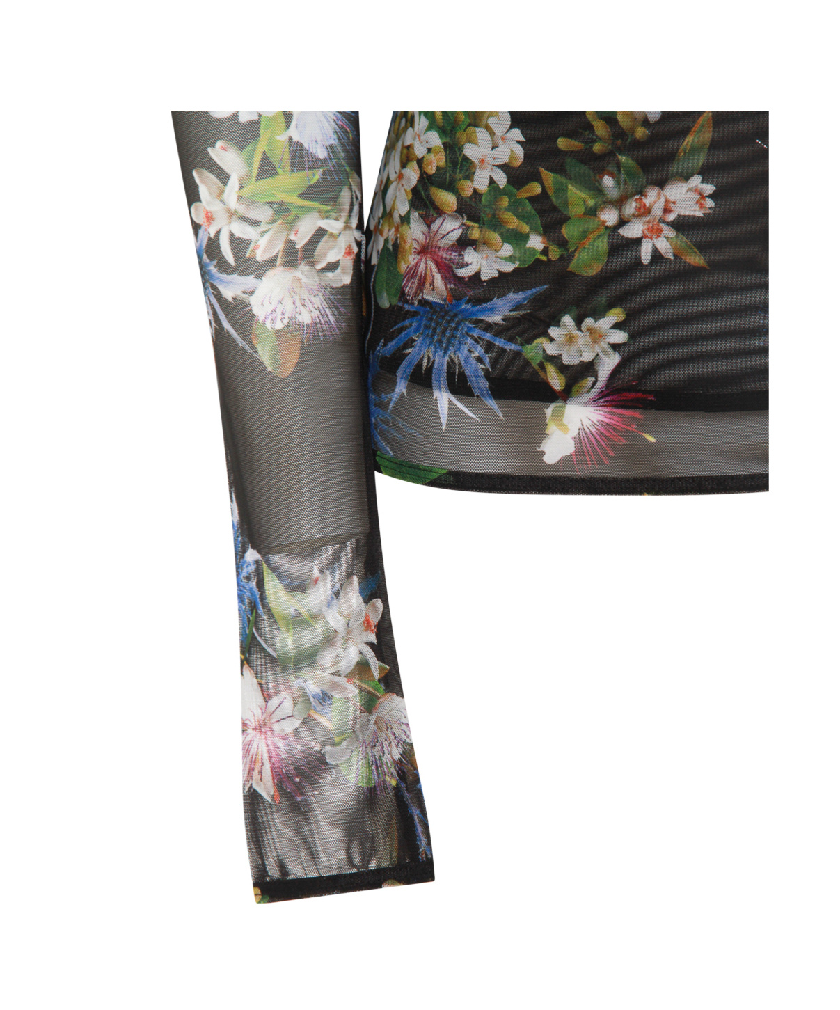 Blumarine Long Sleeve Floral Sheer Top In Black