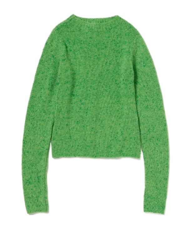 Auralee Crew-neck Sweater In Green