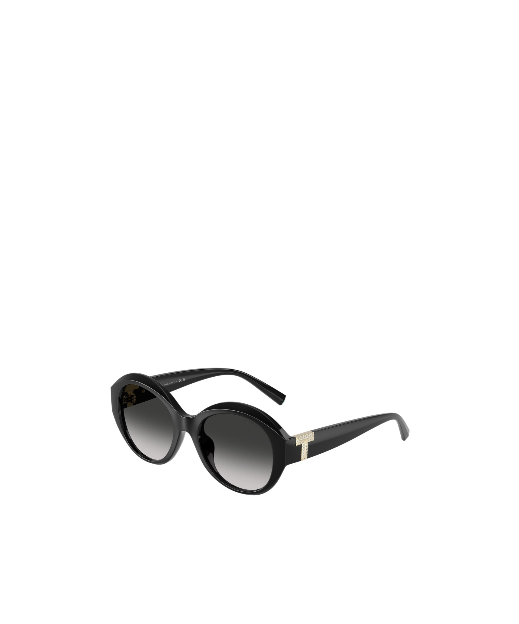 Tiffany & Co Full Frame Sunglasses In Black