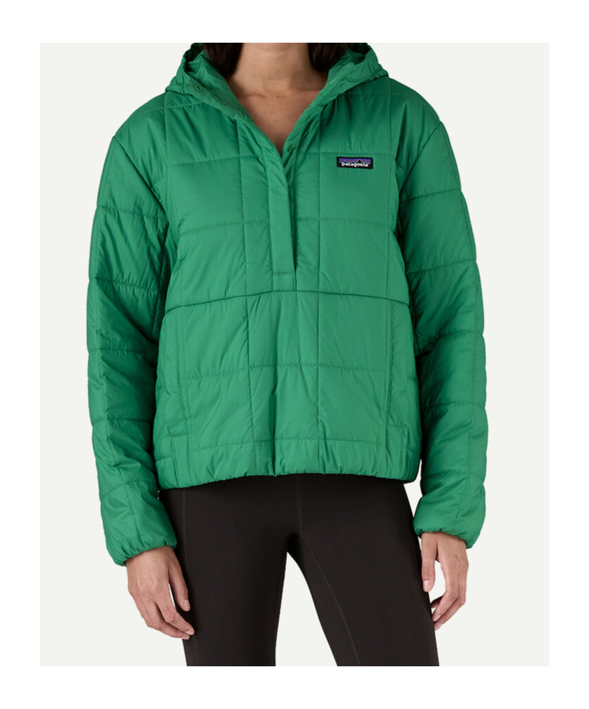 Patagonia Women's Light Gust Hooded Pullover In Green