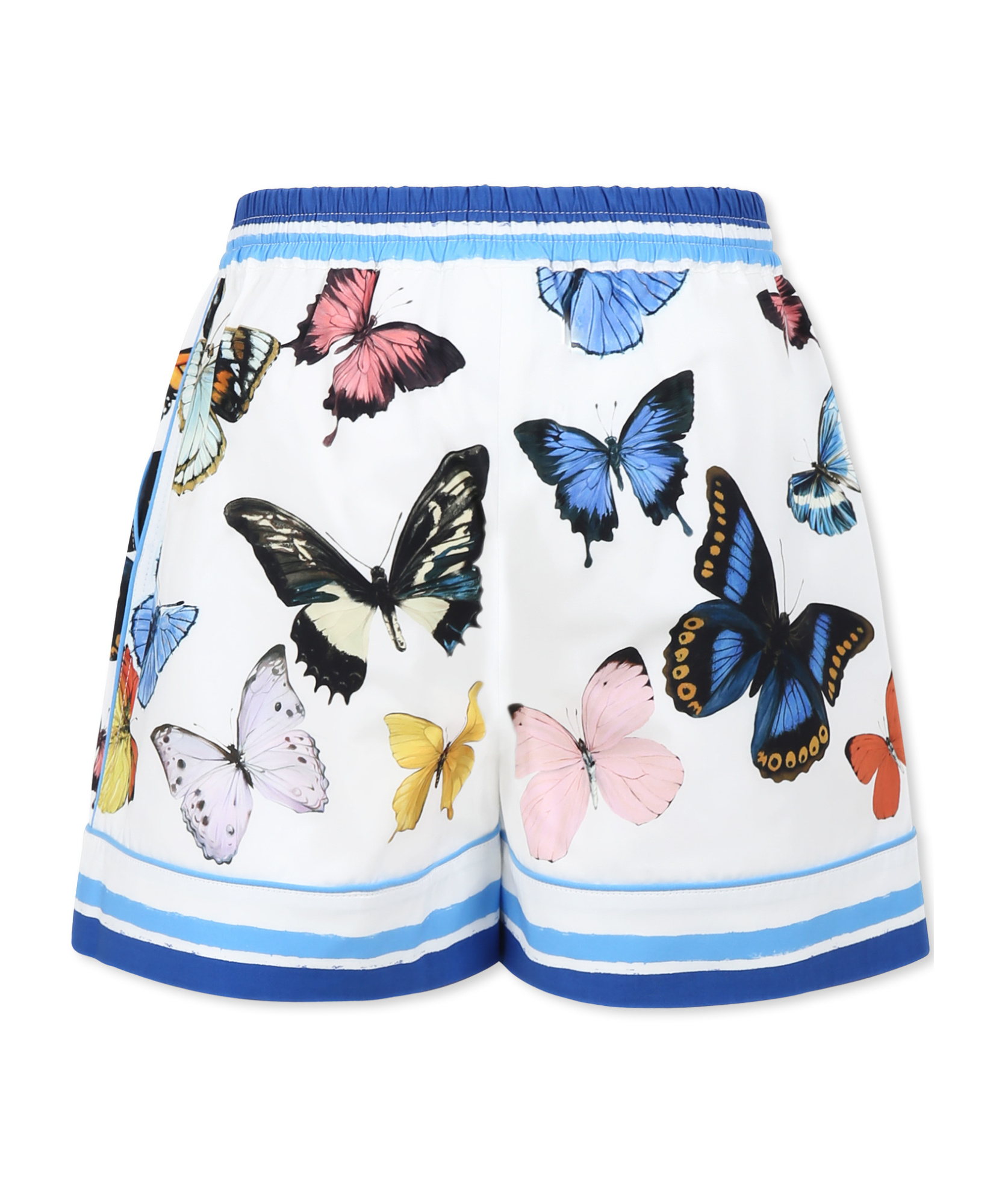 Dolce & Gabbana Butterfly Print Shorts In White
