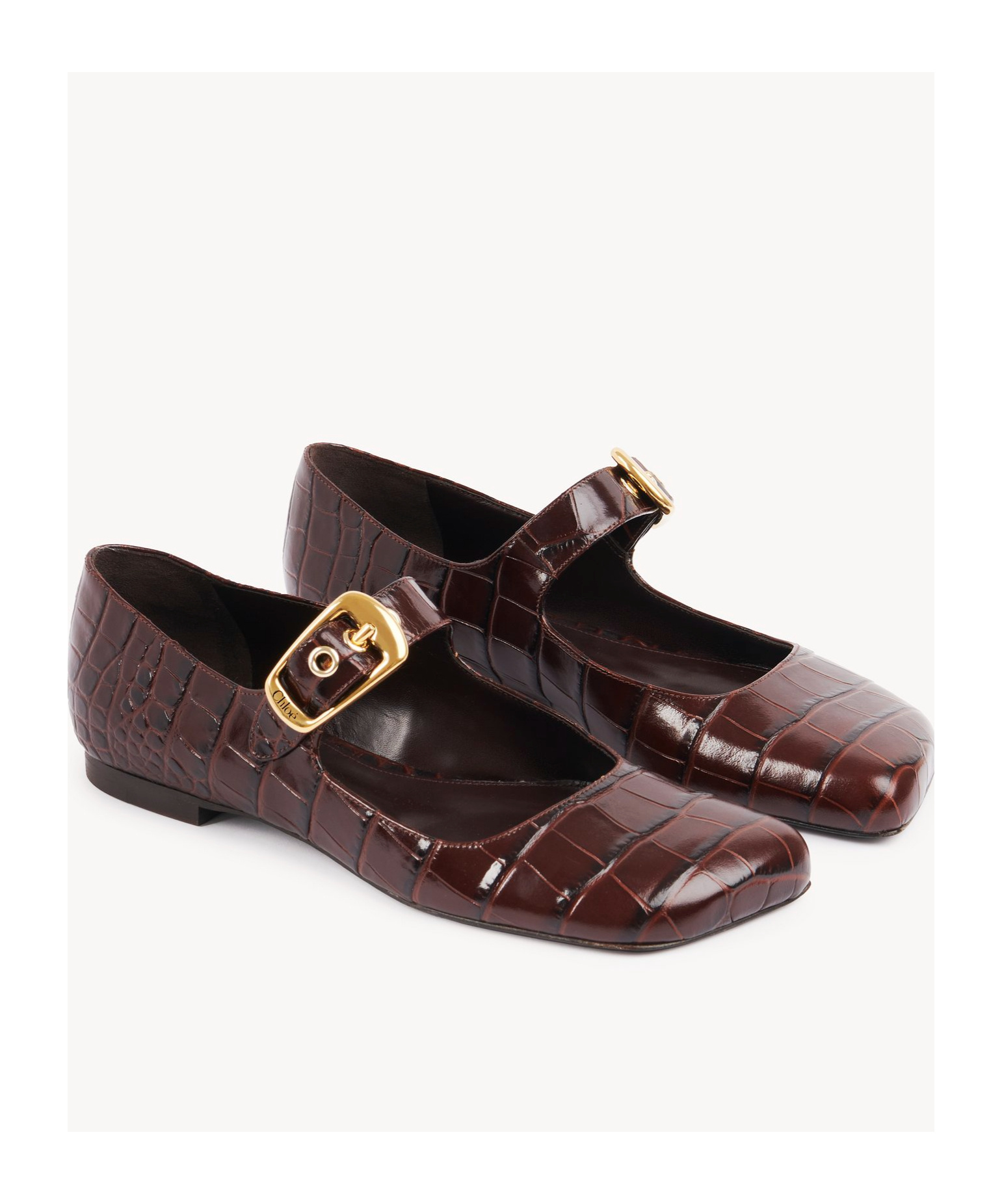 Chloé Polly Ballet Shoes In Brown