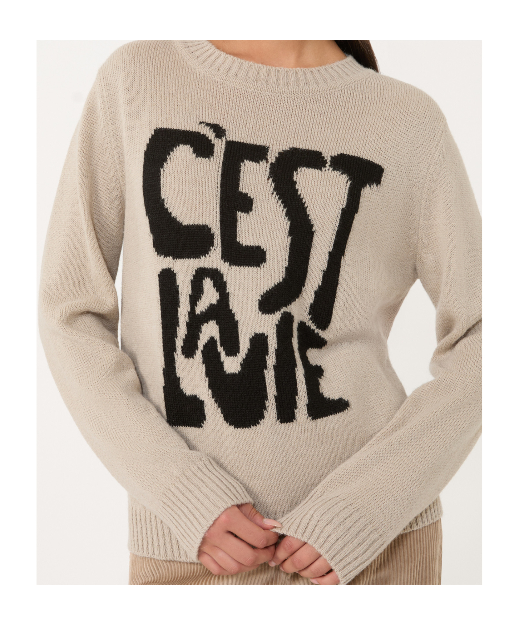 Weekend Max Mara Nitra Intarsia-knit Crewneck Sweater In Brown