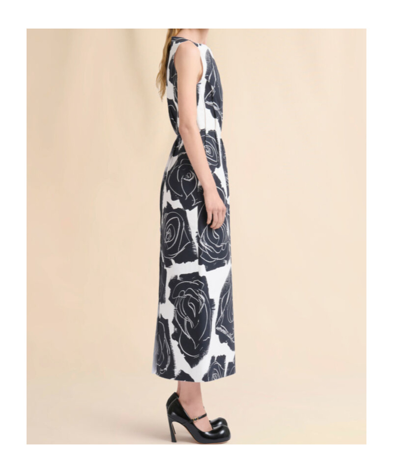 Marni Cybele Print Cotton Poplin A-line Dress In Multi