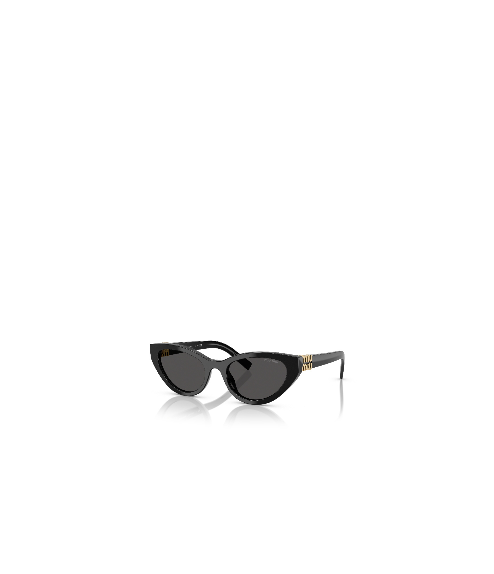 Miu Miu Full Frame Sunglasses In Black