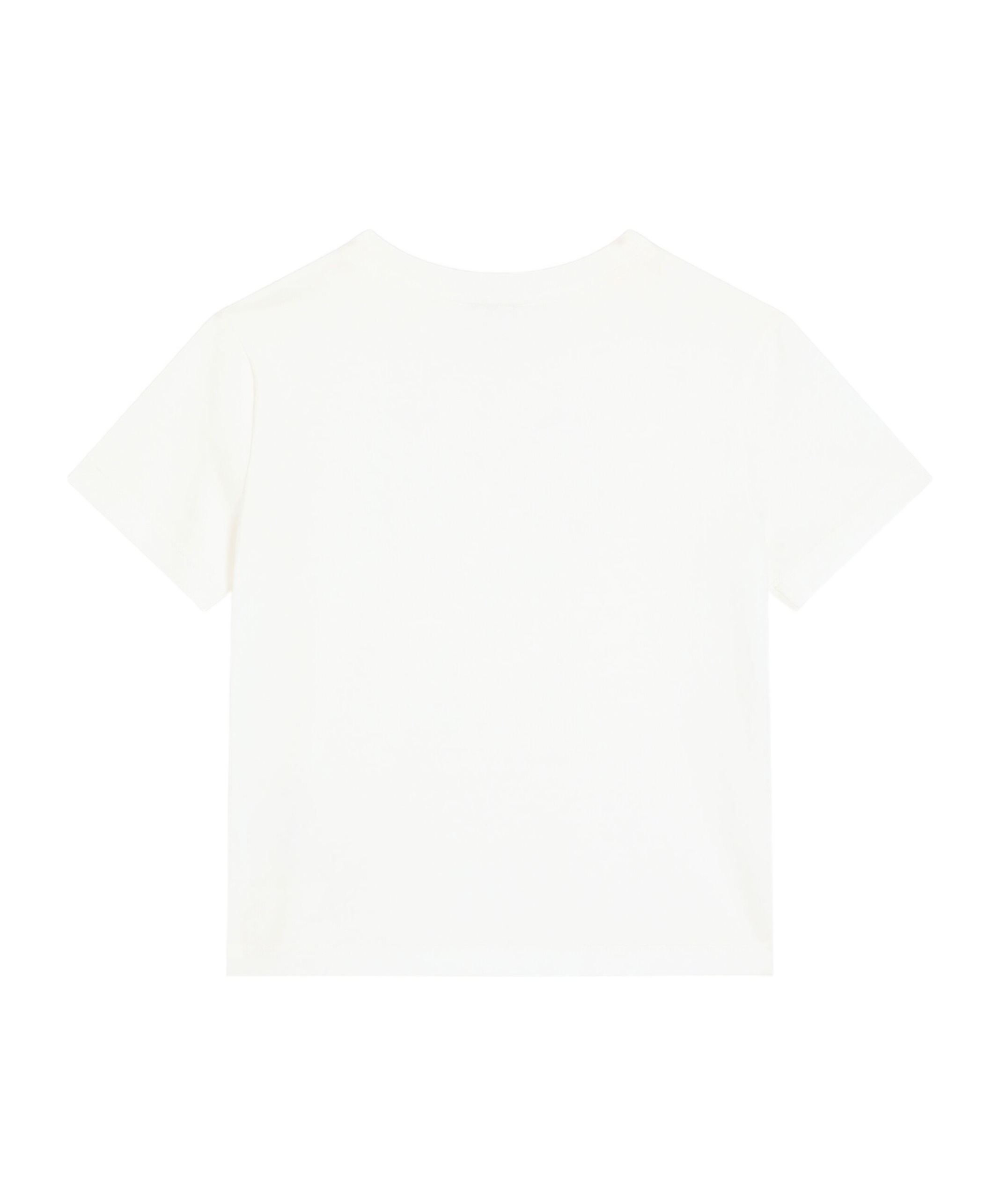 Dolce & Gabbana Dg Logo Jersey T-shirt In White