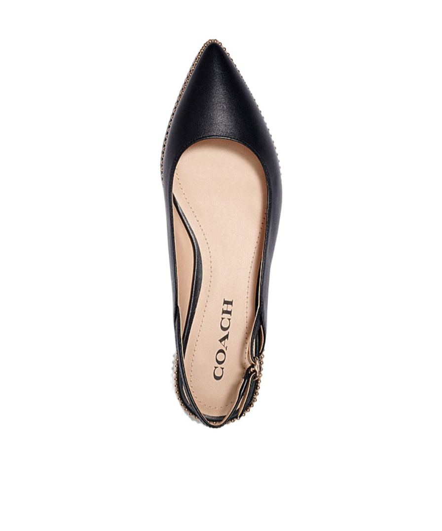 Coach Pointed Flat Shoes In Black
