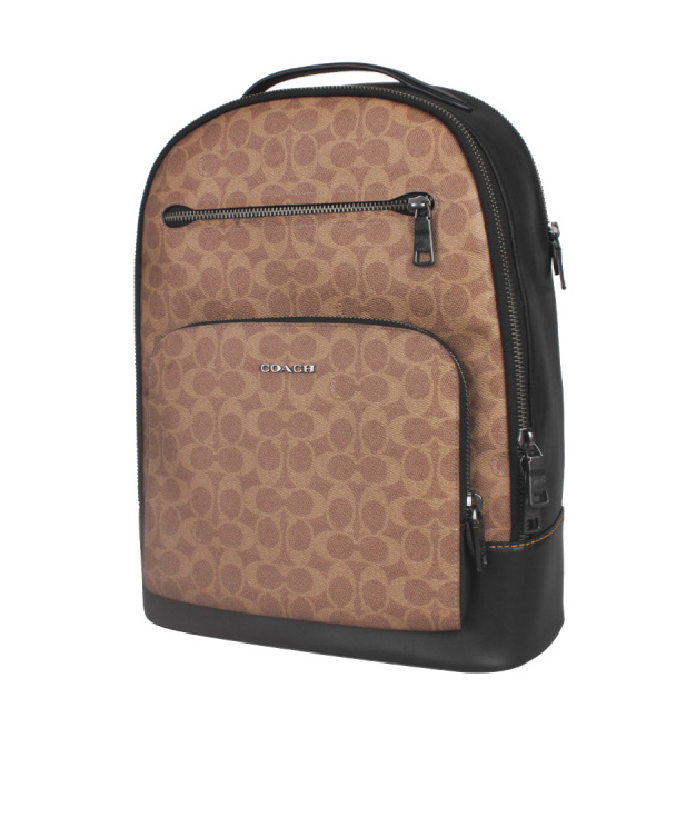 Coach Ethan Backpack In Brown