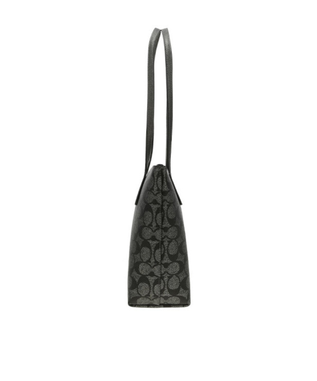 Coach Fiona's Signature Handbag In Black