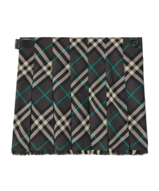 Burberry Embroidered Polyester Blend Mini Skirt In Black