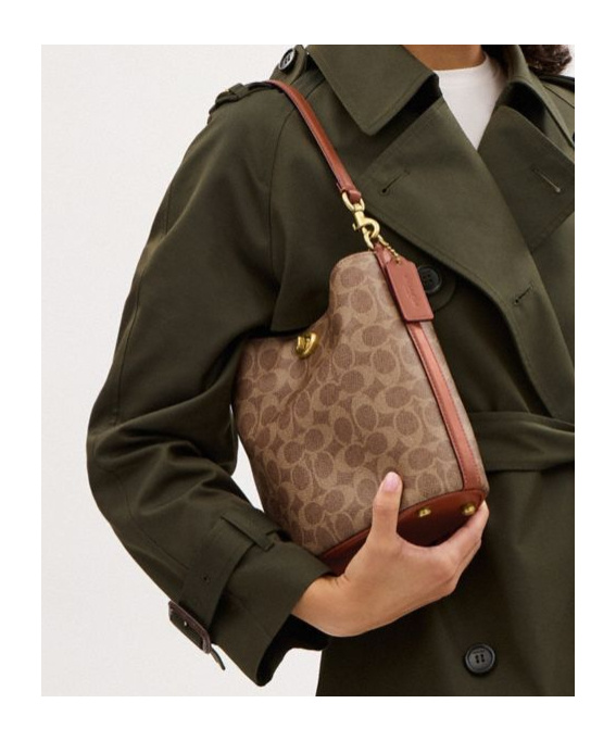 Coach Willow Bucket Bag And Shoulder Bag In Brown