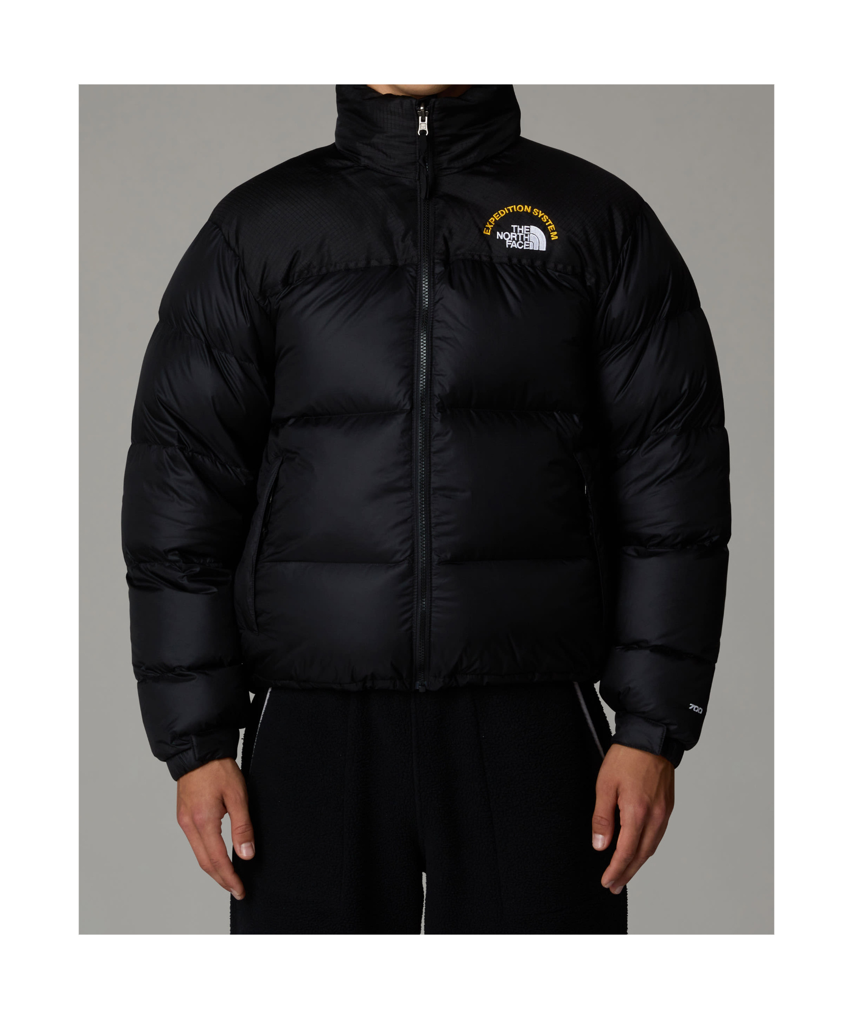The North Face Logo-print Padded Jacket In Black