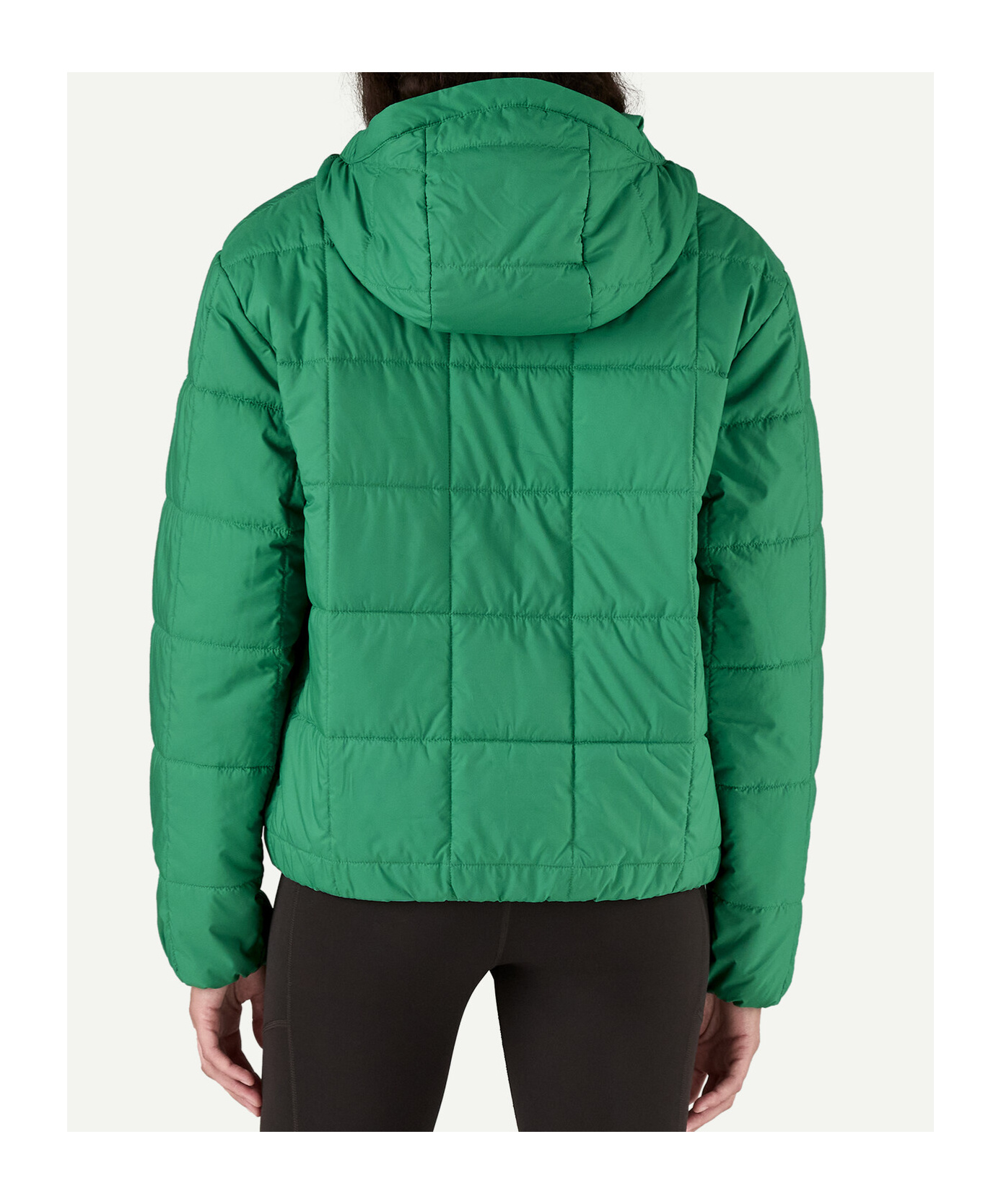 Patagonia Women's Light Gust Hooded Pullover In Green