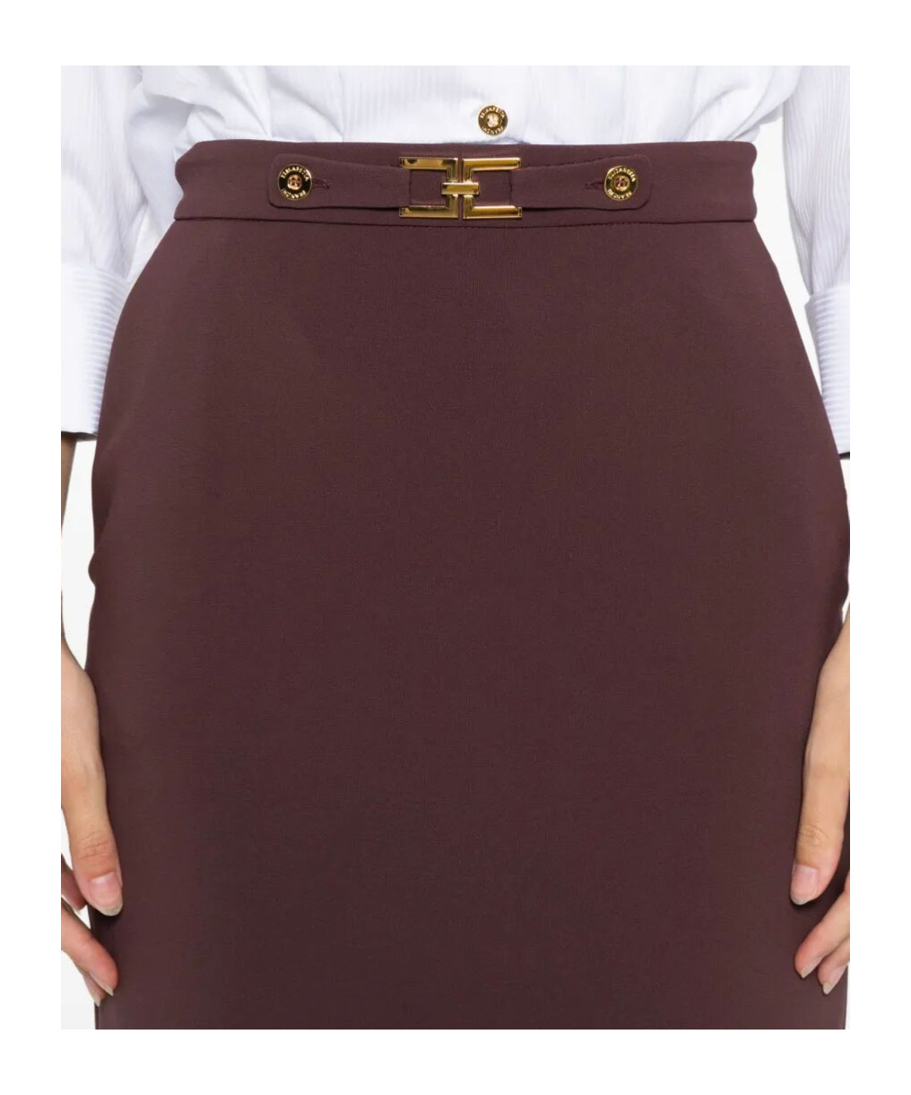 Elisabetta Franchi Button-fastening Pencil Skirt In Brown