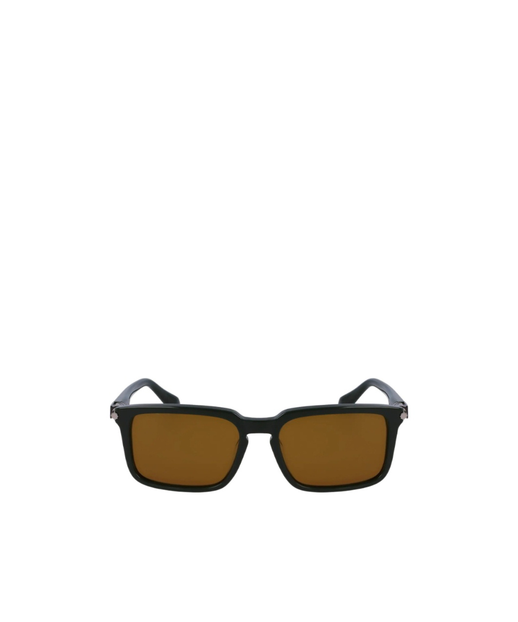 Ferragamo Sonnenbrillen In Black