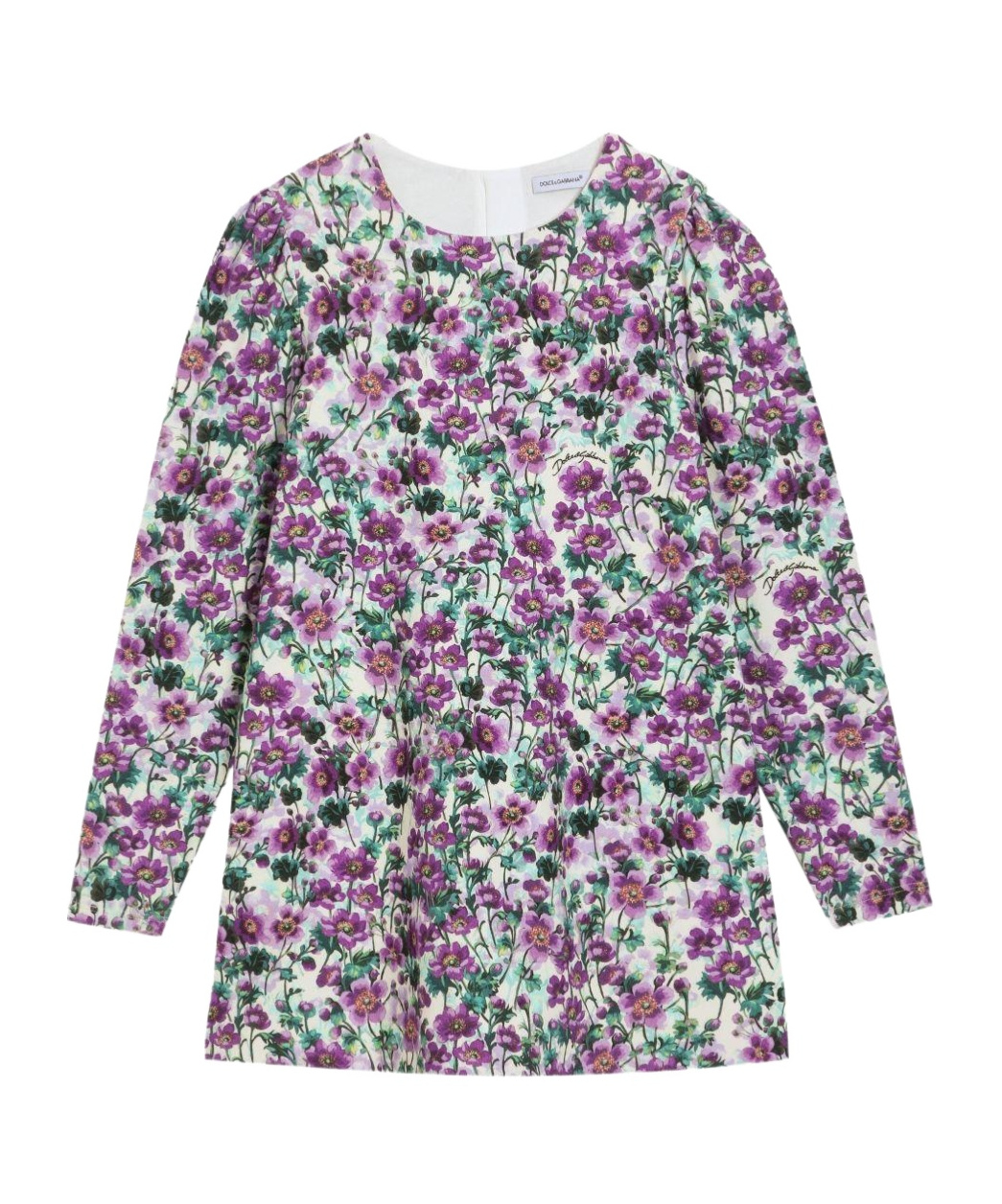 Dolce & Gabbana Floral-print Dress In Multi