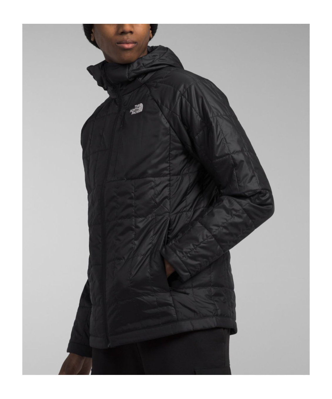 Shop The North Face Hooded Jacket In Black