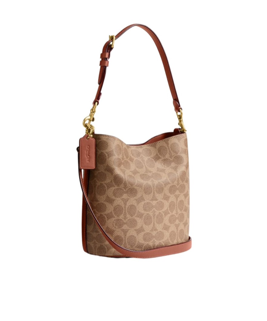 Coach Willow Bucket Bag And Shoulder Bag In Brown