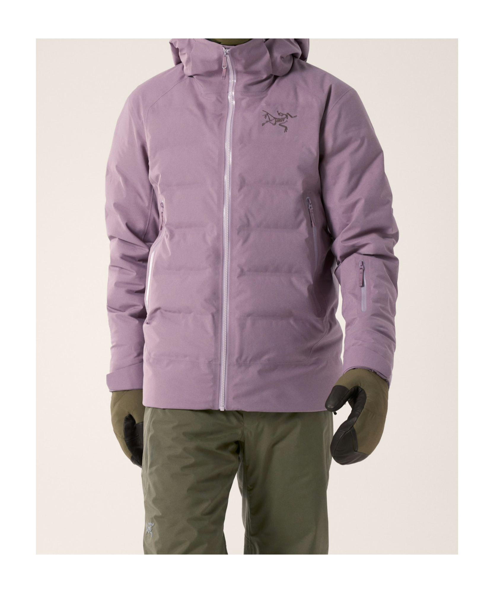Arc'teryx Fisail Gore-tex Down Jacket In Interstellar