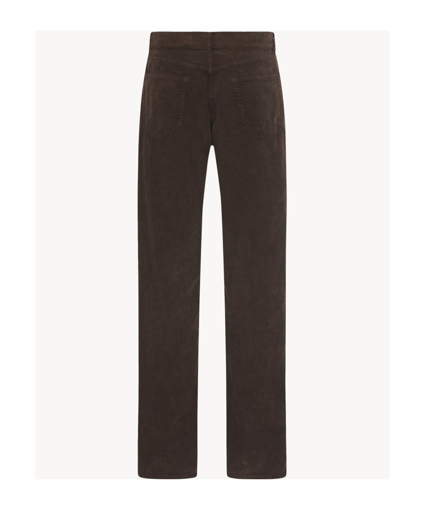 The Row Burt Pant In Cotton In Black