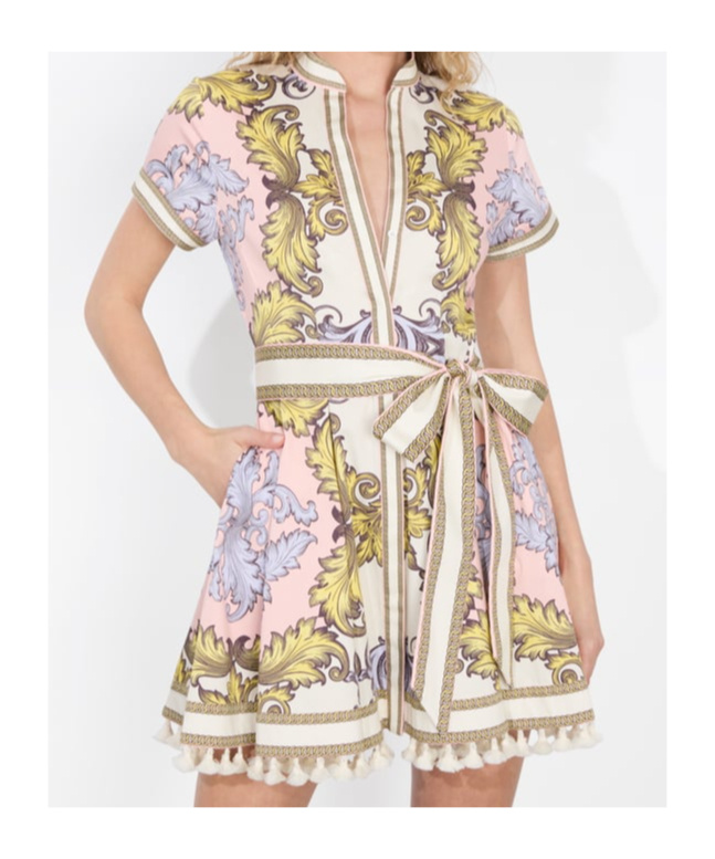 Alice And Olivia Lucy Mini Shirt Dress In Daydreaming And Homesickness