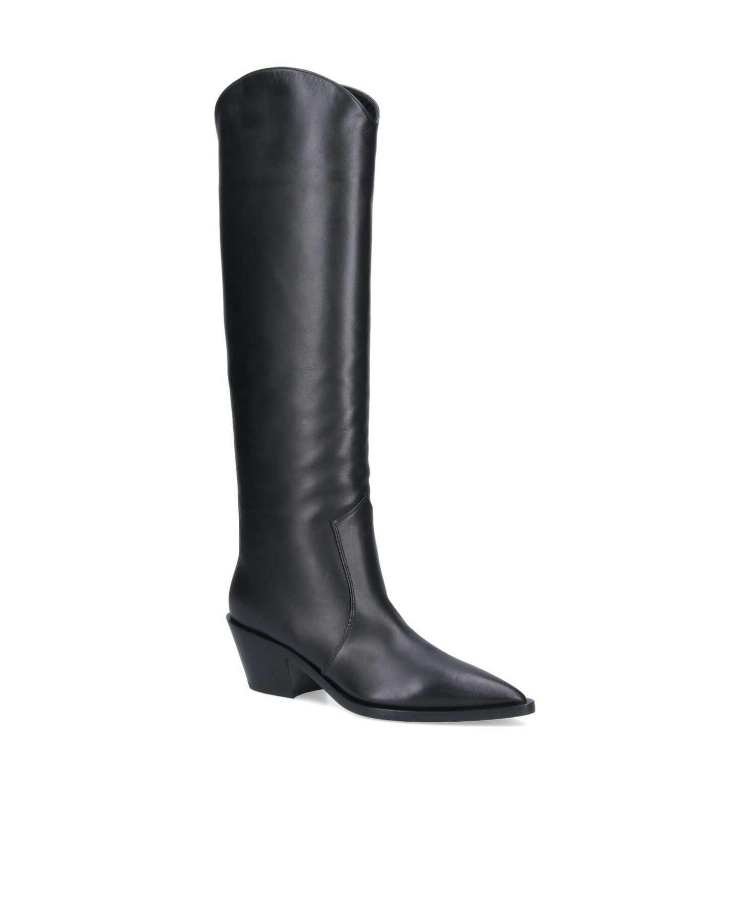 Gianvito Rossi Pointed Boots In Black