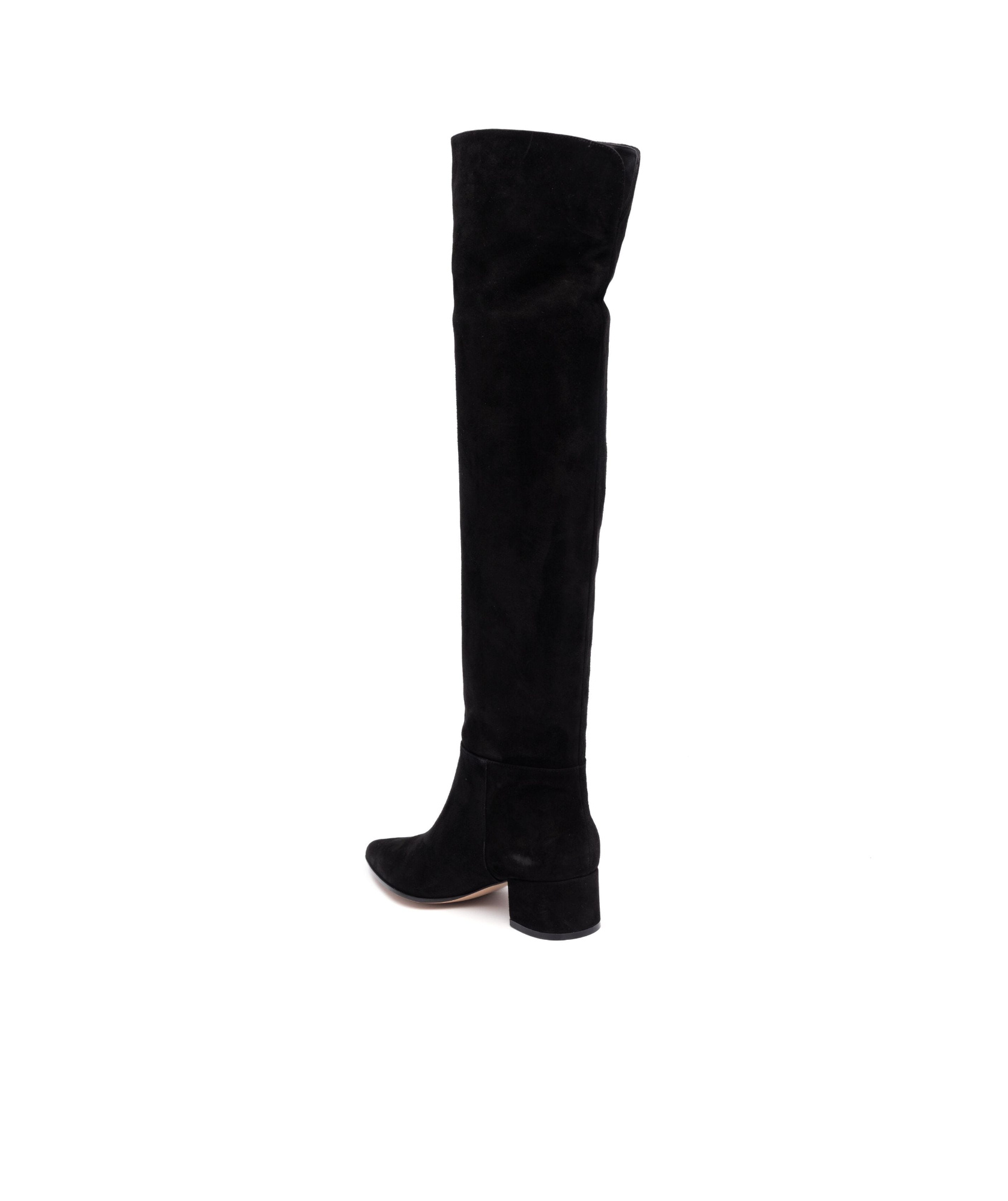 Shop Gianvito Rossi Pointed Boots In Black